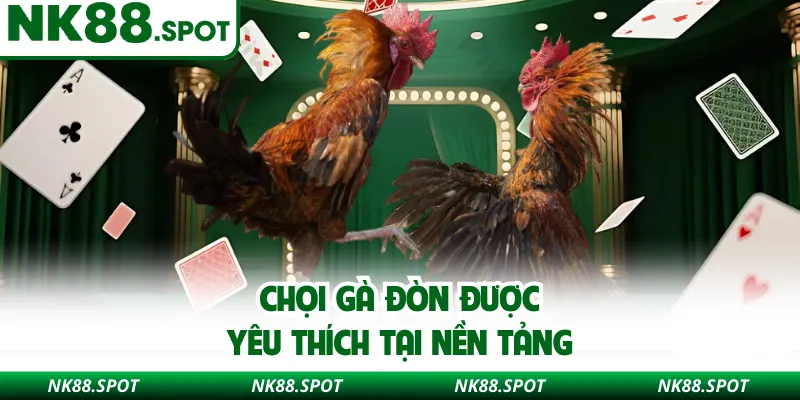 Chọi gà đòn được yêu thích tại nền tảng