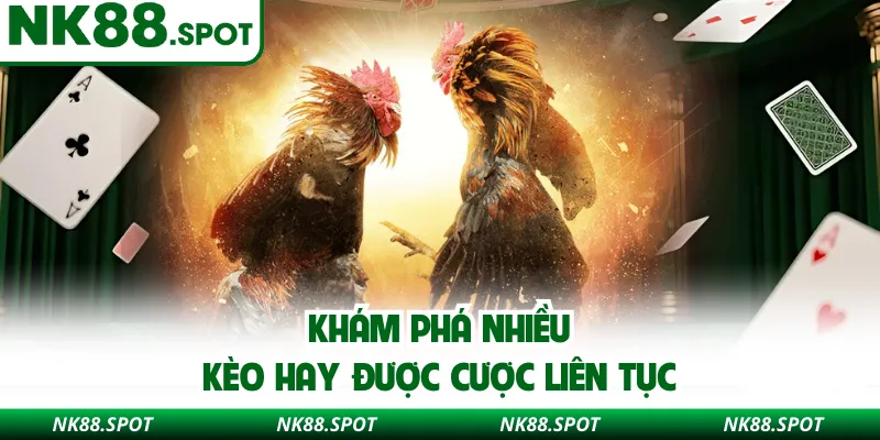 Khám phá nhiều kèo hay được cược liên tục