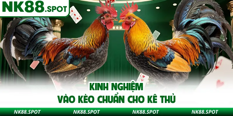 Kinh nghiệm vào kèo chuẩn cho kê thủ