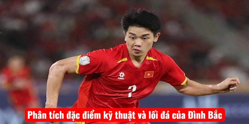 Phân tích đặc điểm kỹ thuật và lối đá của Đình Bắc
